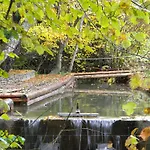Kukavica Domek alpejski *