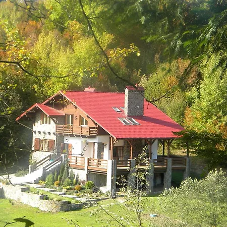 Kukavica *