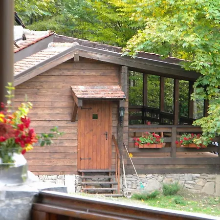 Kukavica *