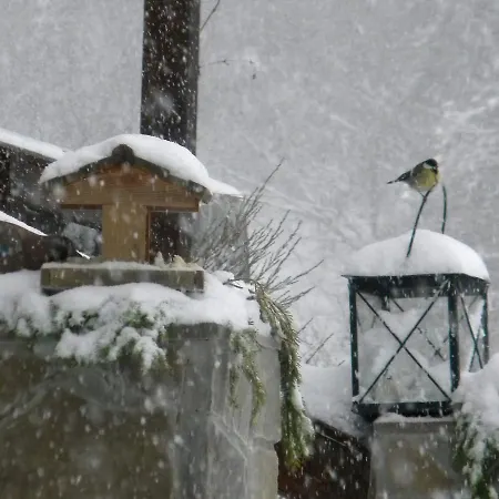 Kukavica Chalet Zhdeniievo