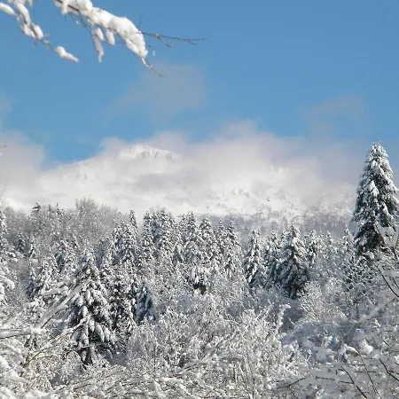 Kukavica Chalet Zhdeniievo