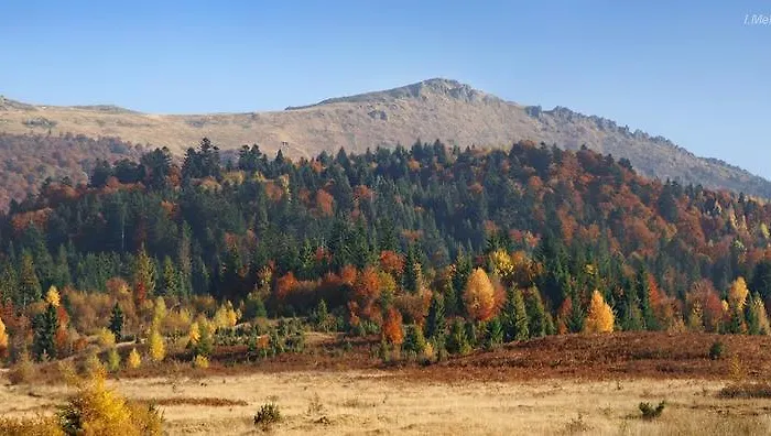 Kukavica Chalet