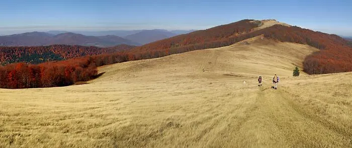 Kukavica Zhdeniievo