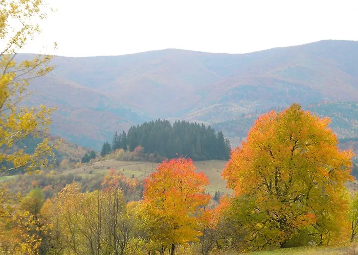 Kukavica