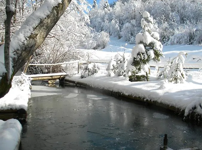 Chalet Kukavica Zhdeniievo