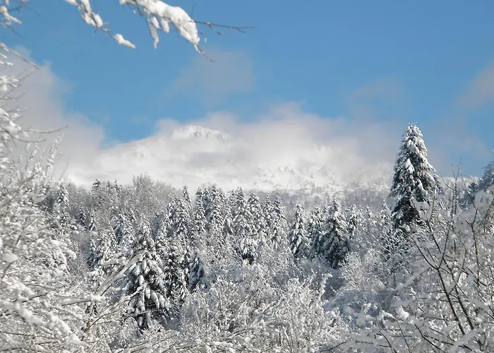 Kukavica Chalet Zhdeniievo