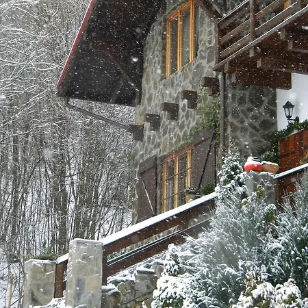 Kukavica Schdenijewo