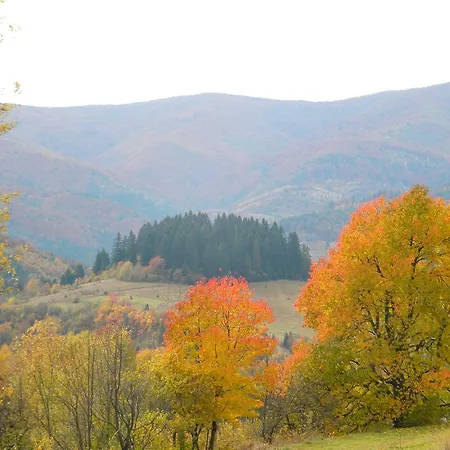 Kukavica