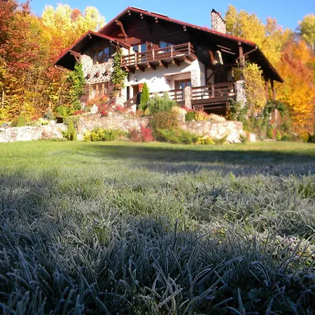 Kukavica